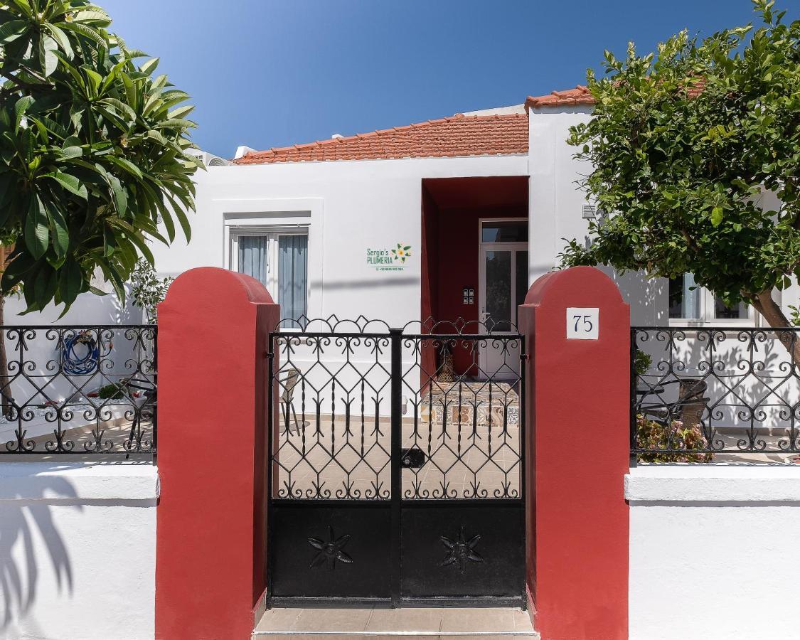 Sergio's Plumeria Apartment